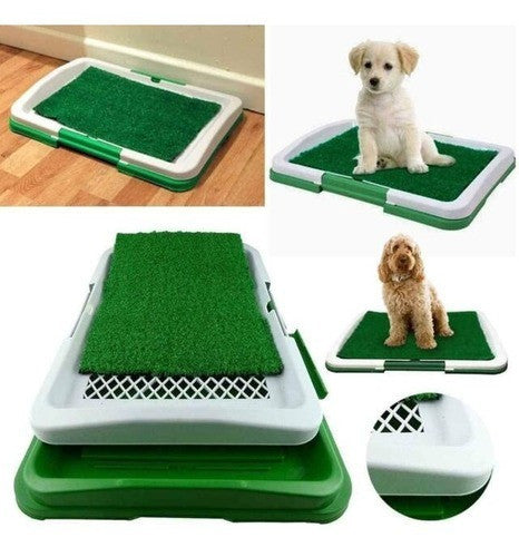 🐶 PeeGrama® – Su perro contento, su casa limpia y sin olores.