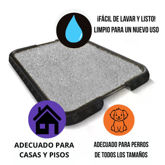 🐶 PeeGrama® – Su perro contento, su casa limpia y sin olores.